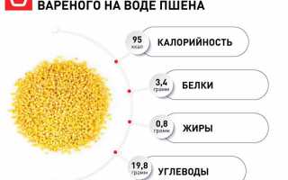 Полезна ли пшенная каша
