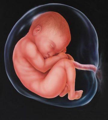 Ребенок в утробе