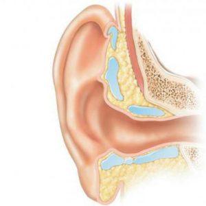Ушной канал