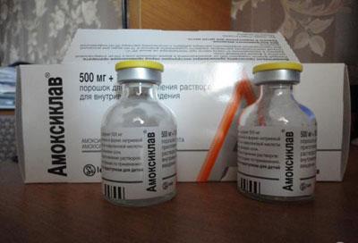 Амоксиклав в порошке