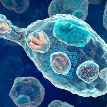 Миграция клеток иммунной системы в очаг воспаления