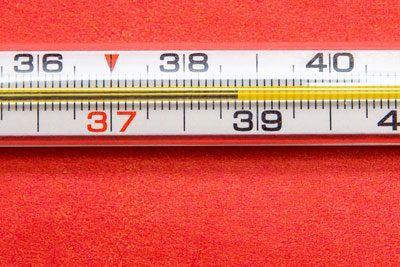 Температура 39 градусов