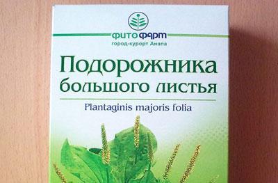 Трава подорожника