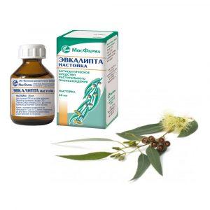 Настойка листьев эвкалипта