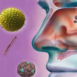 Бактериальный гайморит