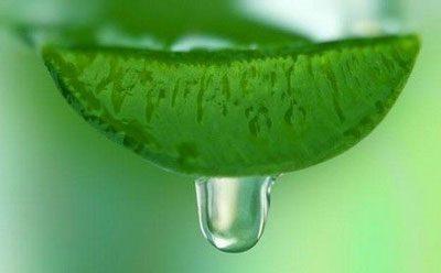 Сок алоэ